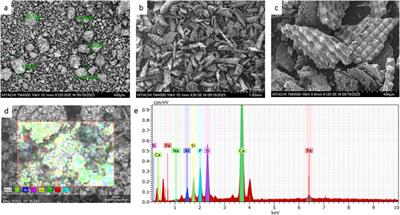 Biosorption of methylene blue by bone meal: experimental and modeling with machine learning and full factorial design